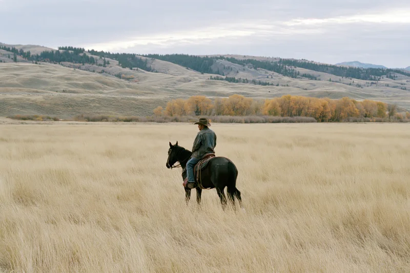 Cowboy riding dark horse through tall dry prairie grass with distant hills and autumn trees under overcast sky