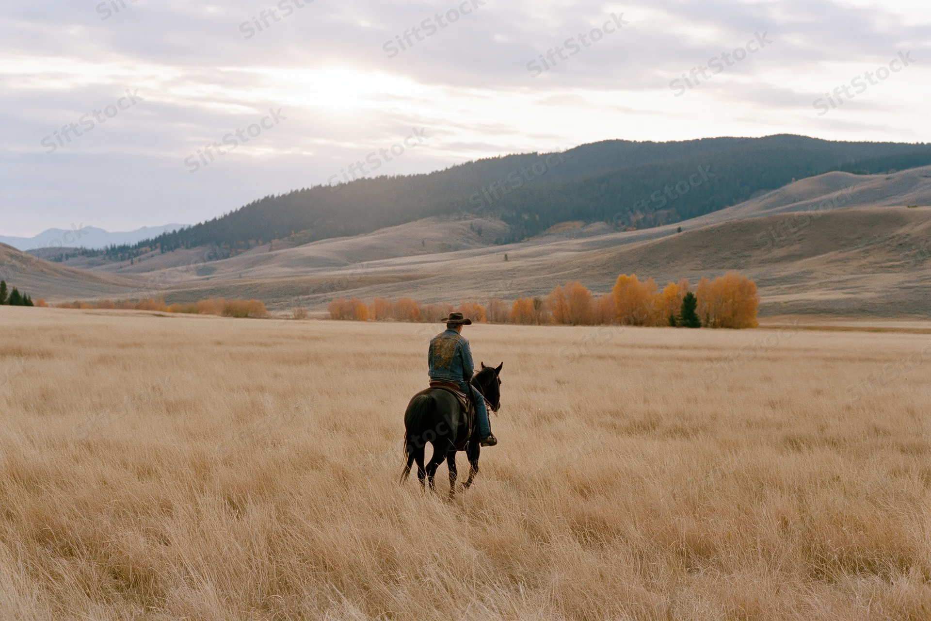 Cowboy riding horse through tall dry prairie grass toward distant mountains at dusk