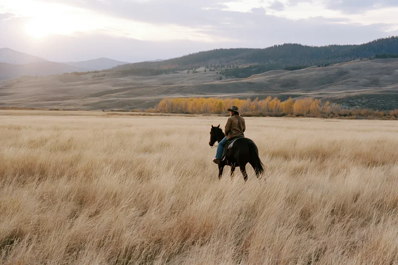 Cowboy riding horse through tall dry prairie grass toward distant hills at sunset