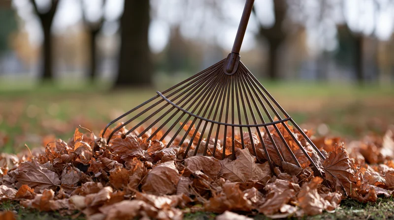 Metal fan rake pressed into a pile of fallen autumn leaves in a park yard