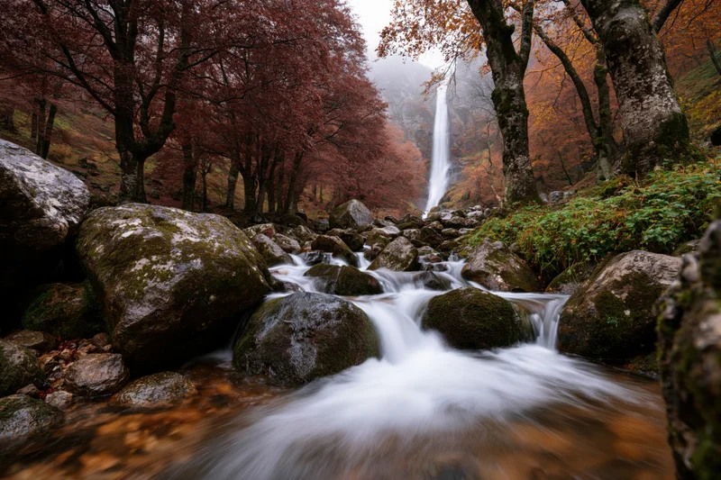 Stream flowing over moss-covered boulders in autumn forest with waterfall in background