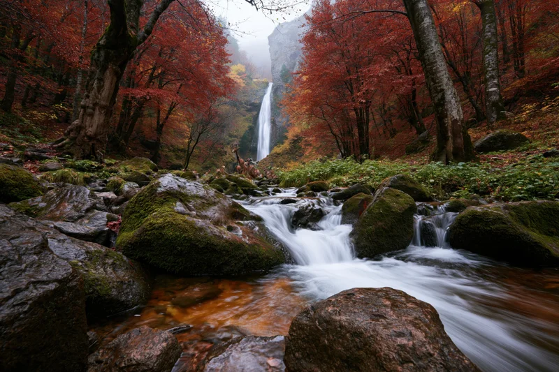 Rocky forest stream flowing over moss-covered boulders toward a distant waterfall in autumn foliage