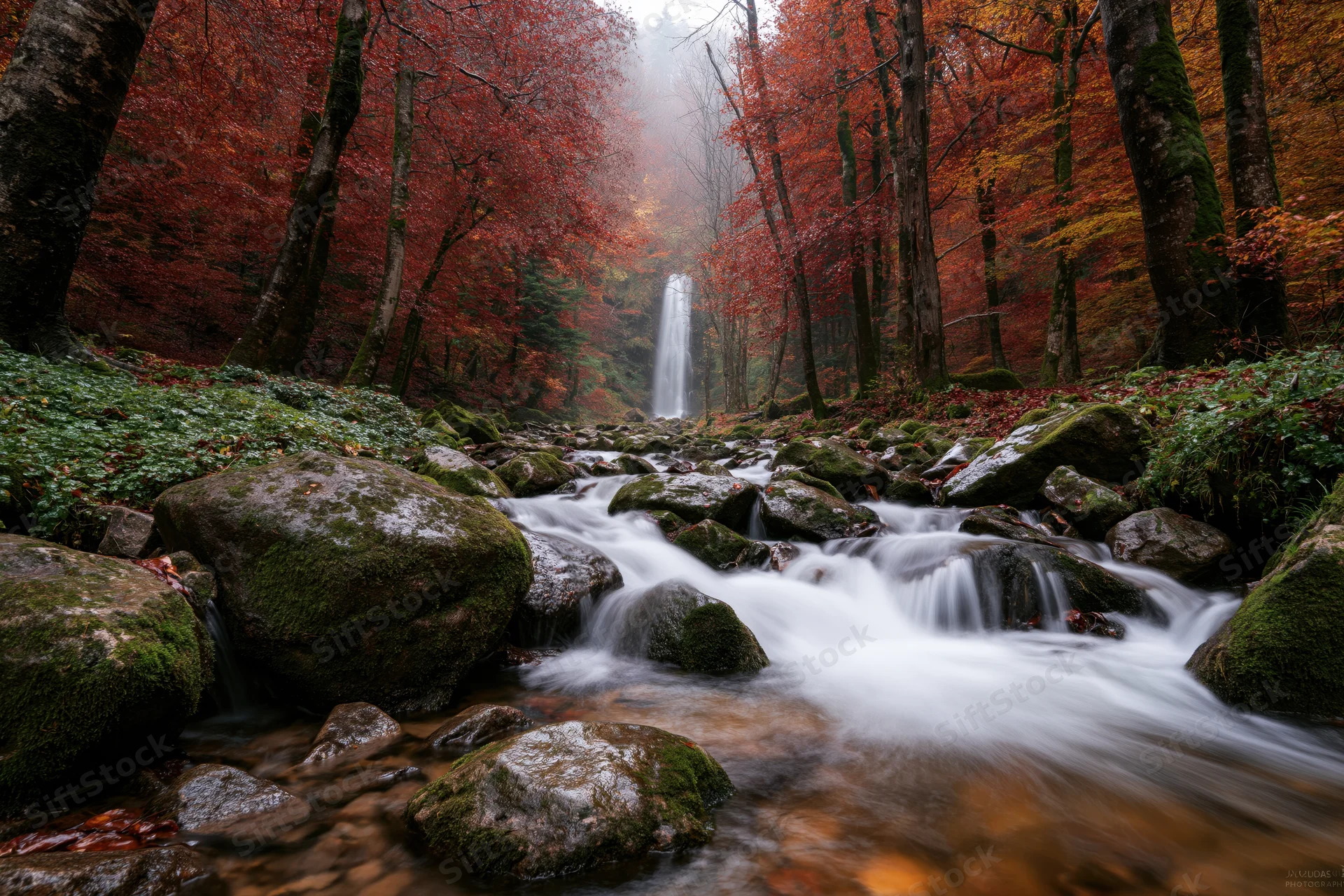 Rocky forest stream flowing over moss-covered boulders toward a distant waterfall in autumn foliage