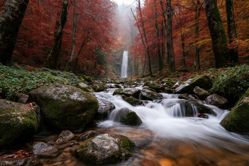 Rocky forest stream flowing over moss-covered boulders toward a distant waterfall in autumn foliage