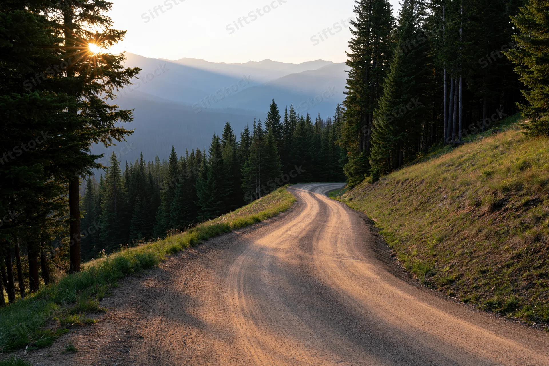 Winding dirt road curving through dense evergreen forest at sunset