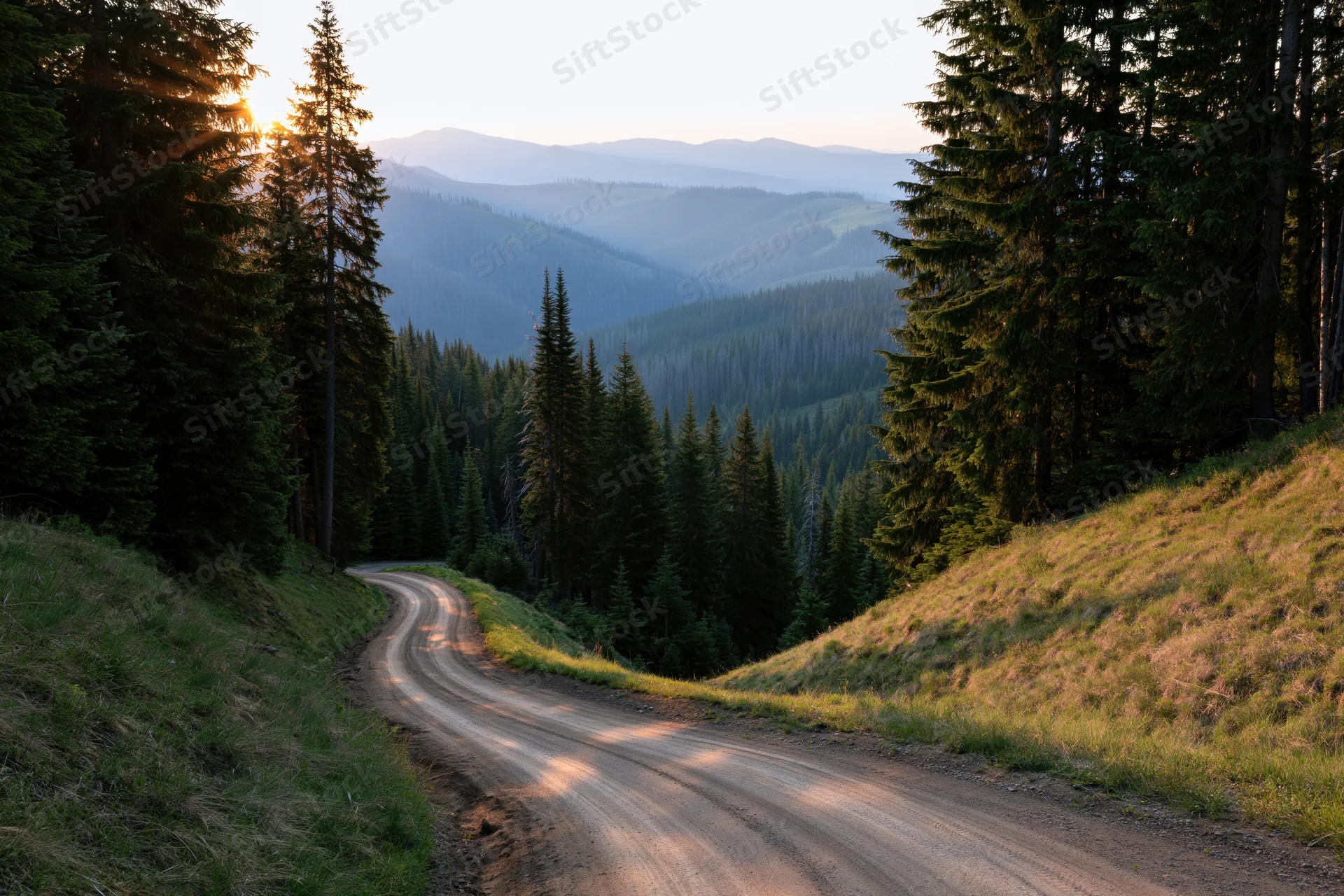 Winding dirt road curving through dense evergreen forest at sunrise with mountain valley in distance