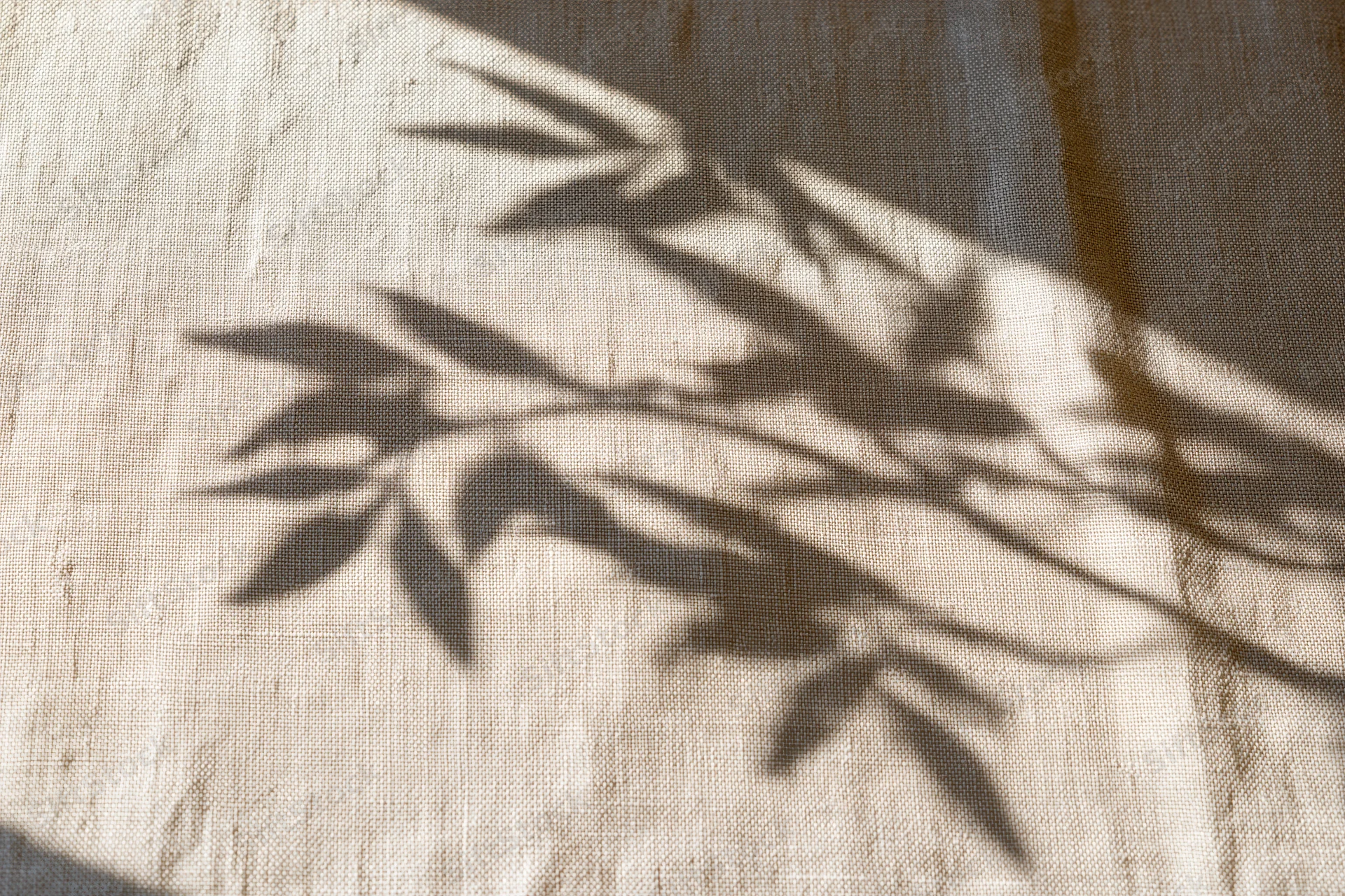 Natural linen fabric with leaf shadows in flat lay arrangement