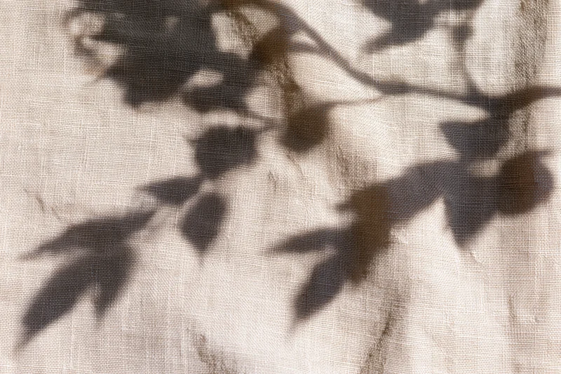 Shadow of leaves on natural linen fabric in flat lay arrangement