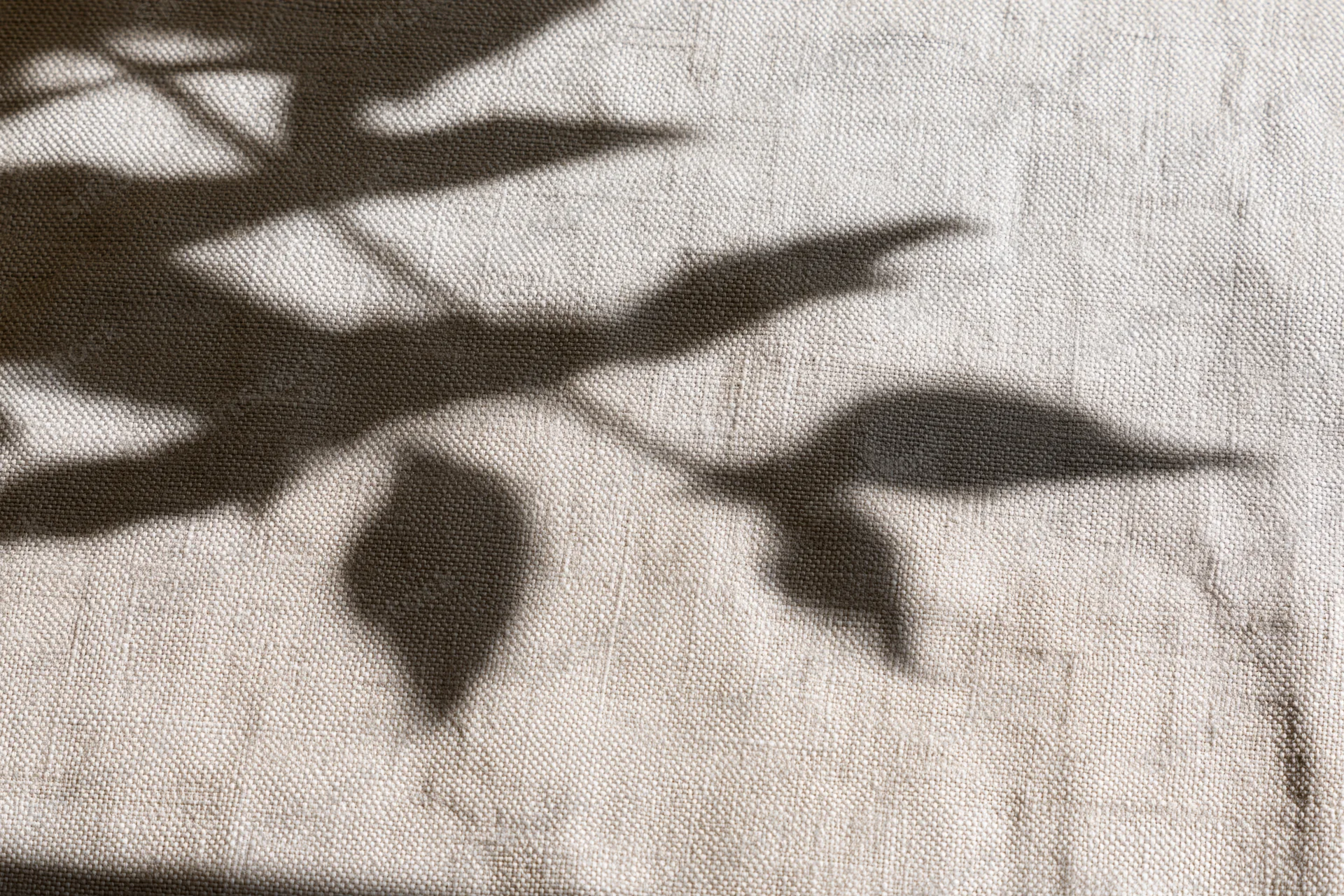 Natural linen fabric with leaf shadows in flat lay arrangement