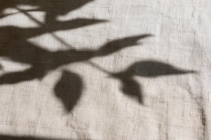 Natural linen fabric with leaf shadows in flat lay arrangement