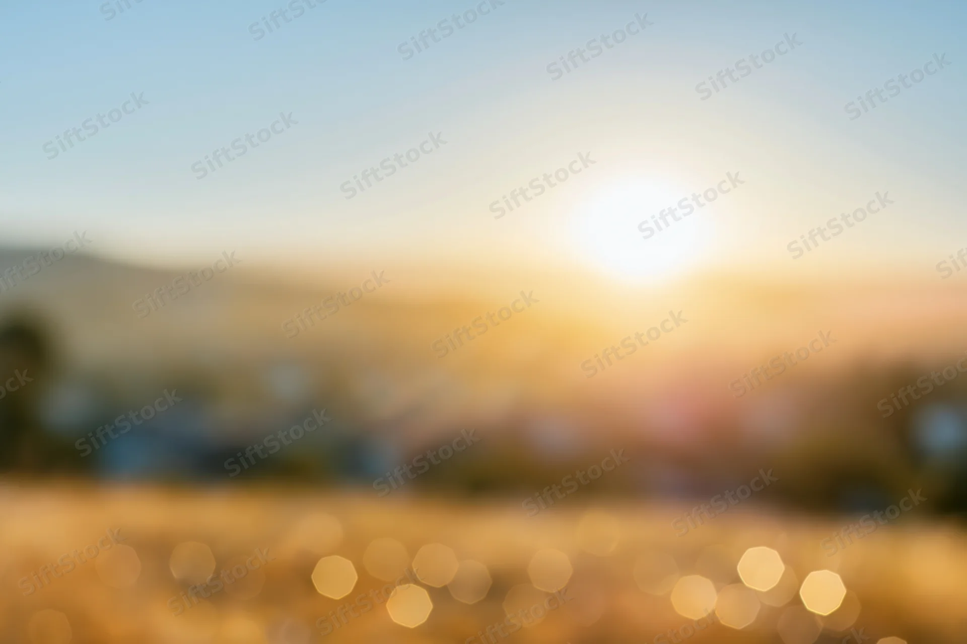 Defocused outdoor scene with bright sun low on the horizon over a golden field