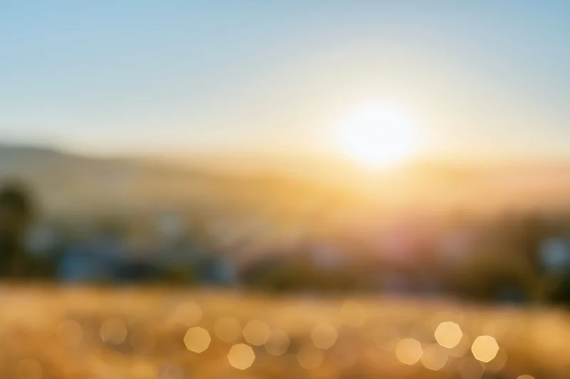 Defocused outdoor scene with bright sun low on the horizon over a golden field