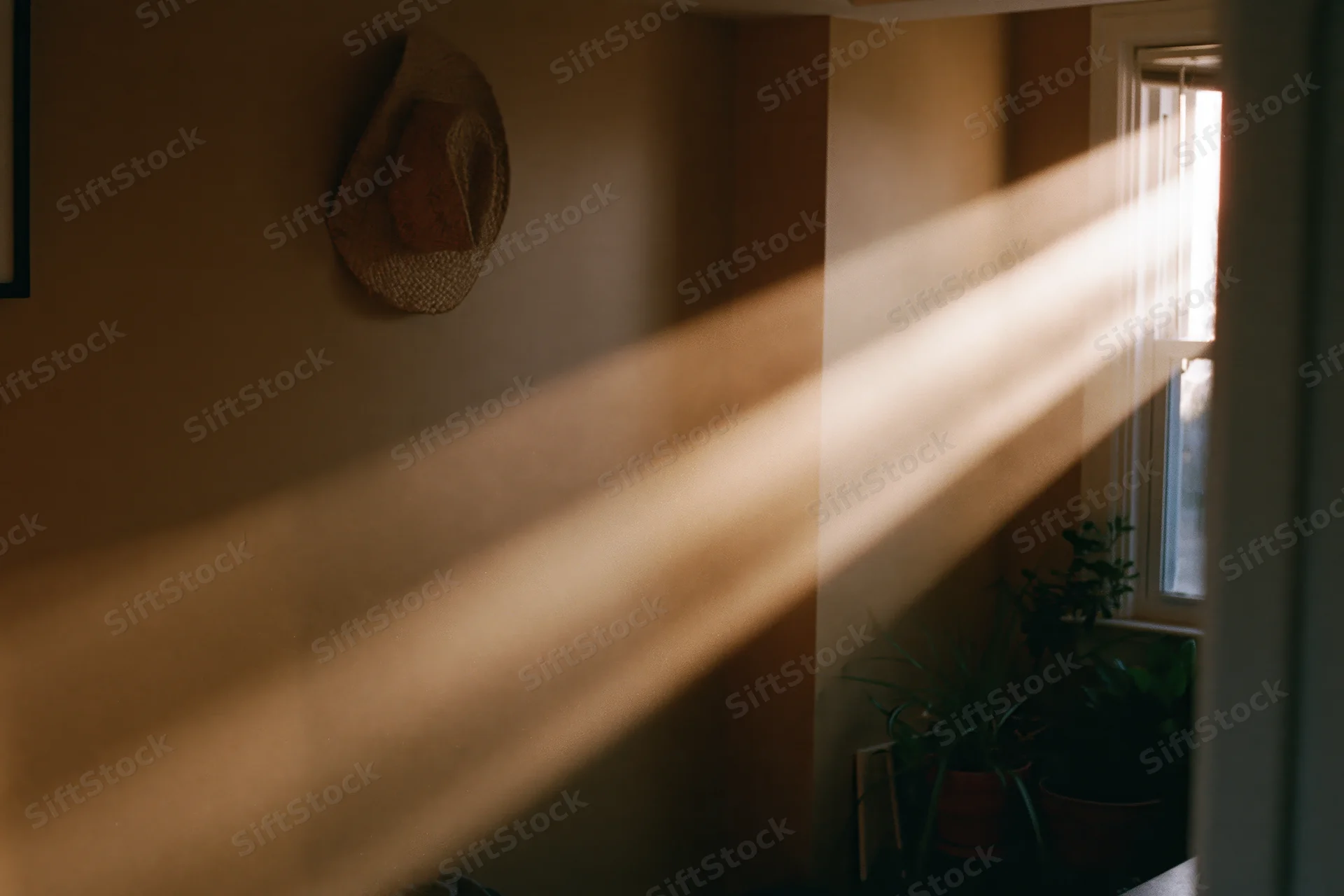 Morning sunlight streaming through a window into a quiet room with potted plants and a straw hat on the wall