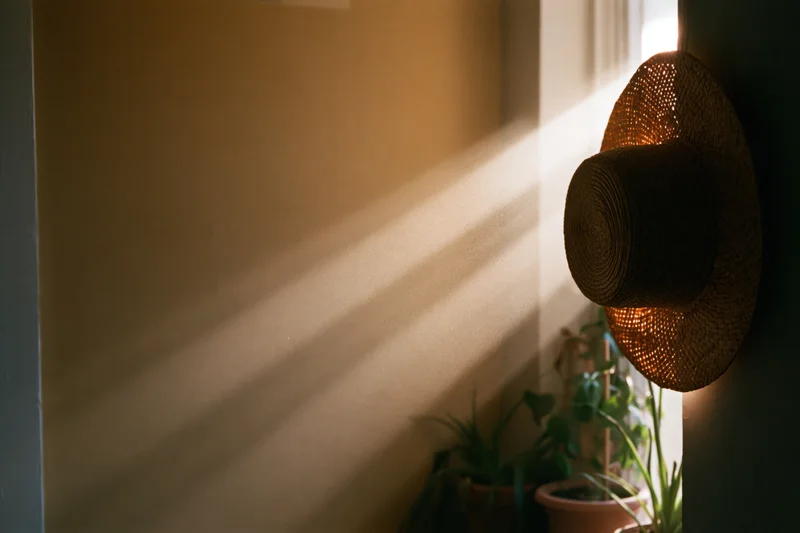 Straw hat hanging on wall with morning sunbeams streaming through window casting shadows on beige wall and potted plants below