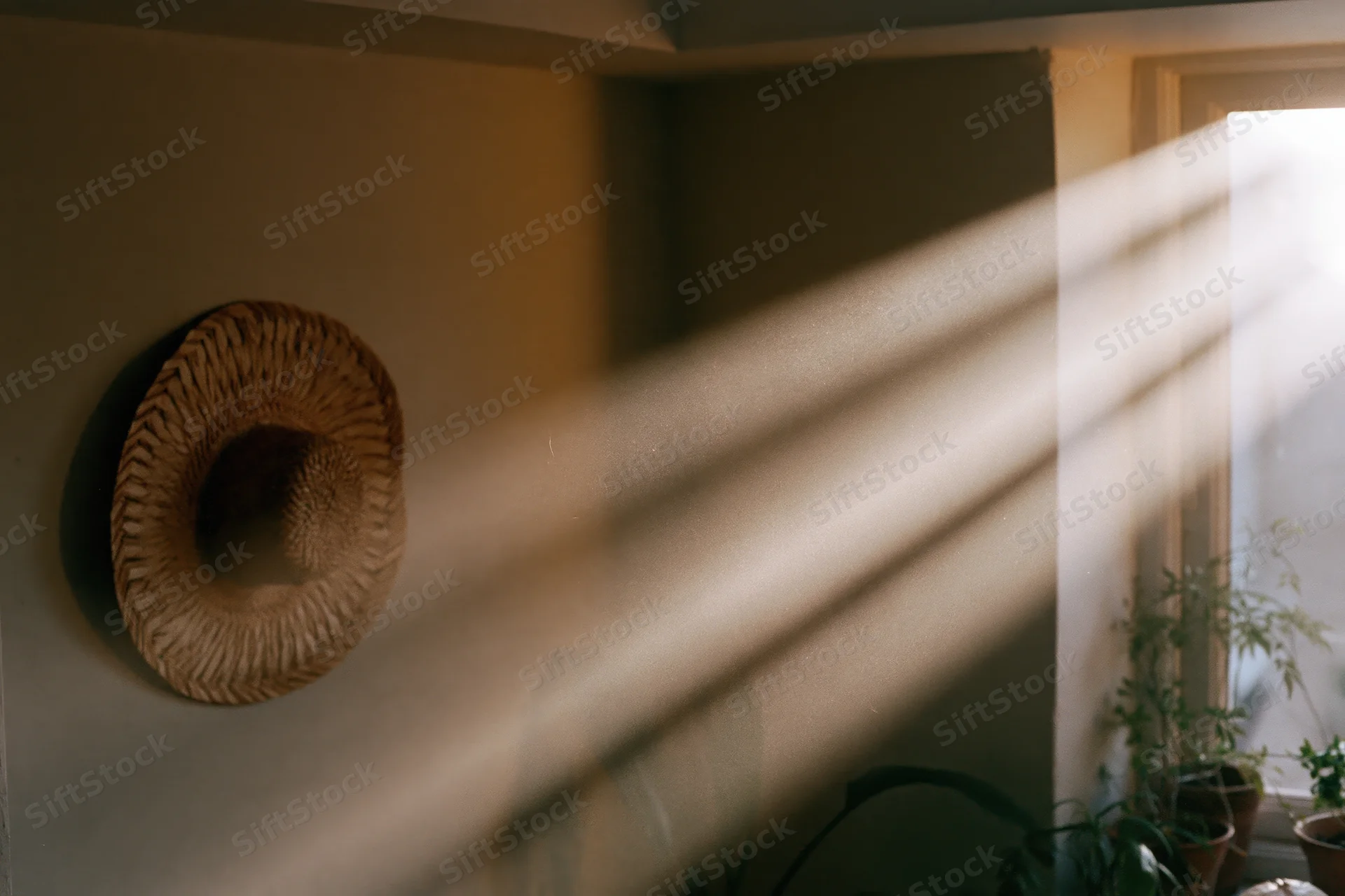 Morning sunbeams streaming through a dusty window onto a wall with a woven hat and potted plants inside a home