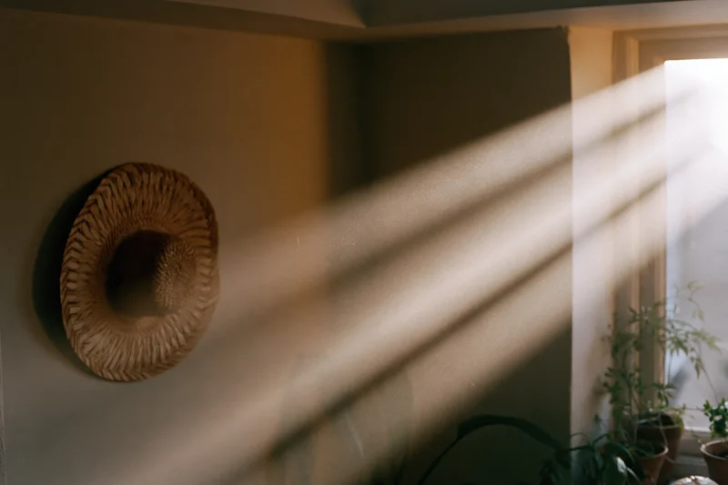 Morning sunbeams streaming through a dusty window onto a wall with a woven hat and potted plants inside a home