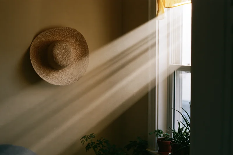 Morning sunbeams streaming through a window onto a straw hat and potted plants in a home interior