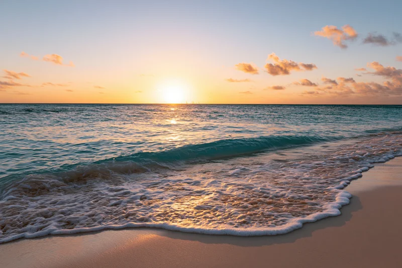 Gentle wave washing onto sandy beach at sunset