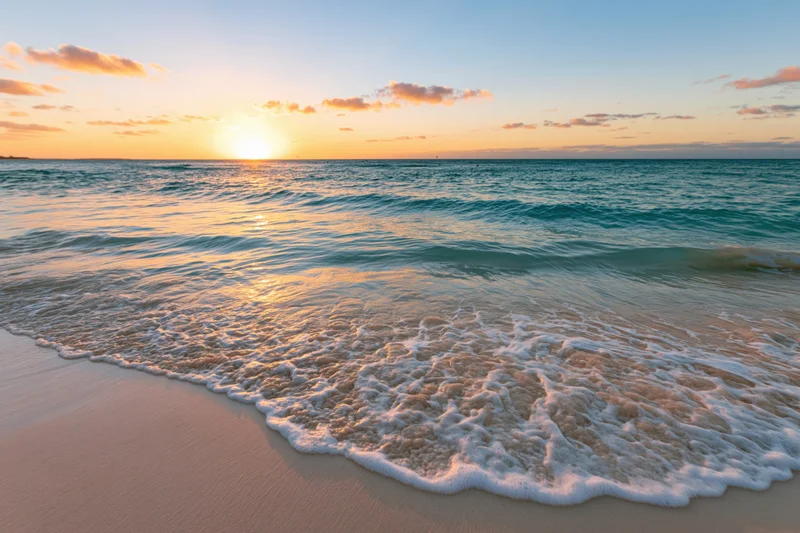 Gentle wave with foam washing onto sandy beach at sunset
