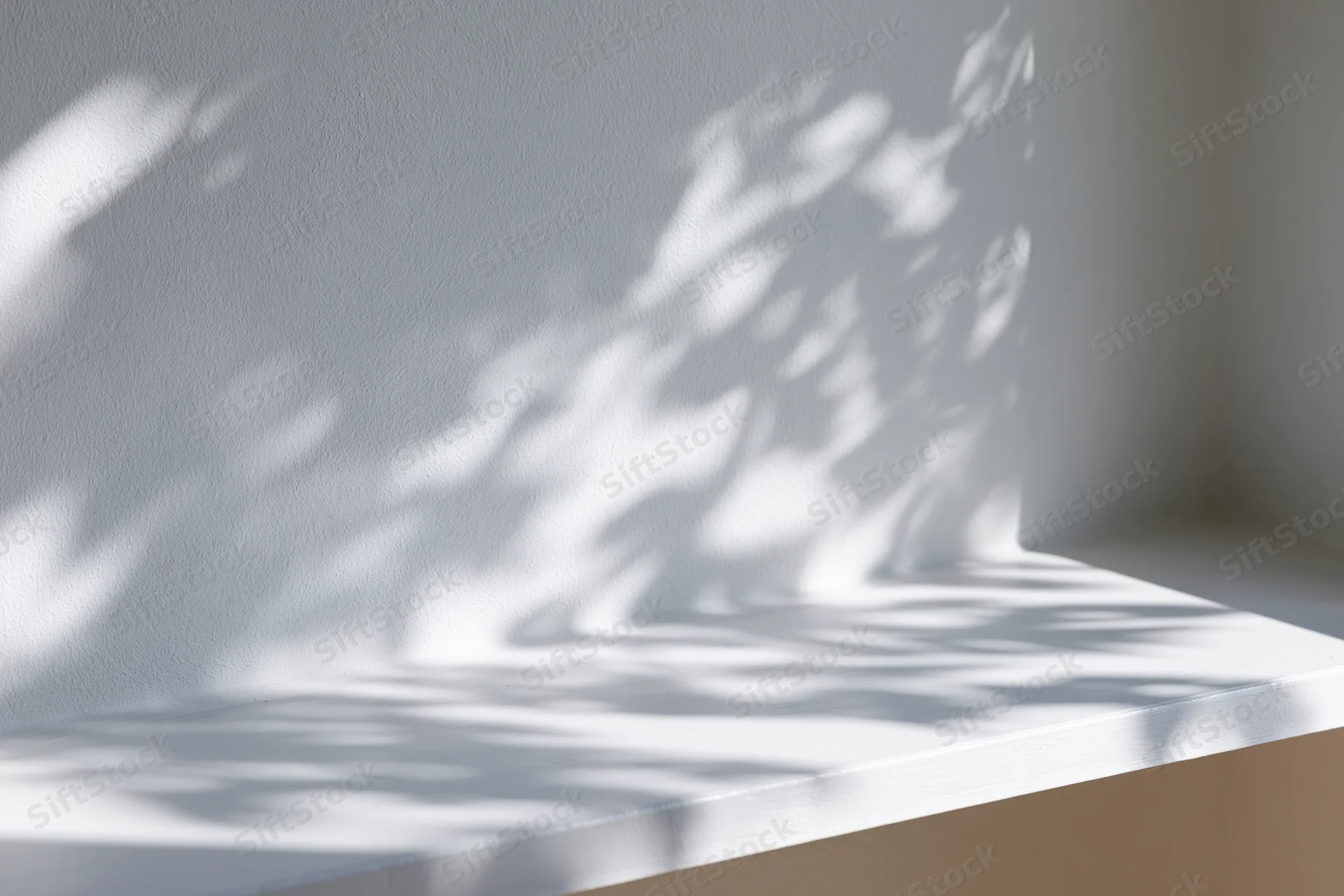 Dappled leaf shadows on a white wall and surface in a bright interior space