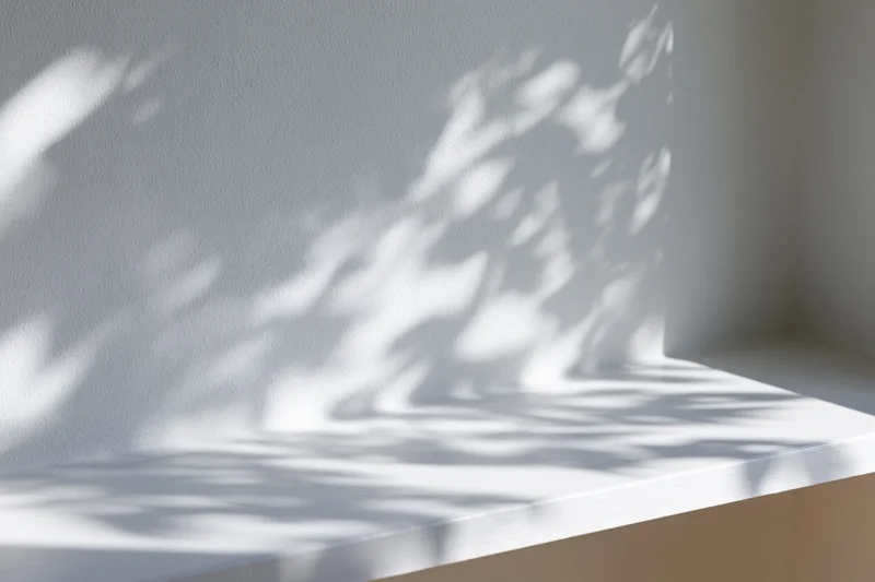 Dappled leaf shadows on a white wall and surface in a bright interior space