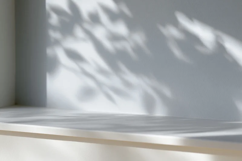 Empty white shelf with dappled leaf shadows on adjacent wall in interior corner