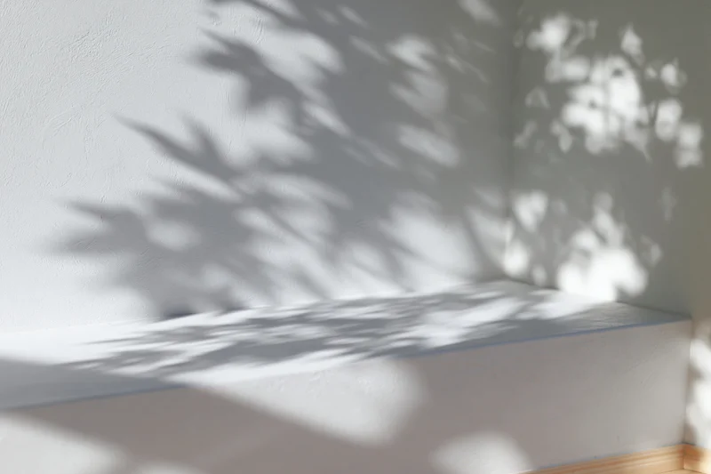 Dappled leaf shadows on white interior wall and bench in corner space