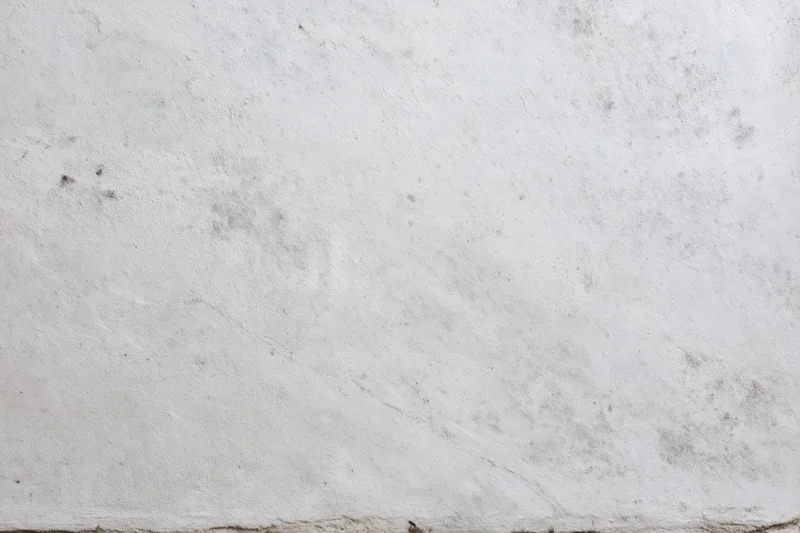 Close-up of a weathered concrete wall surface filling the frame
