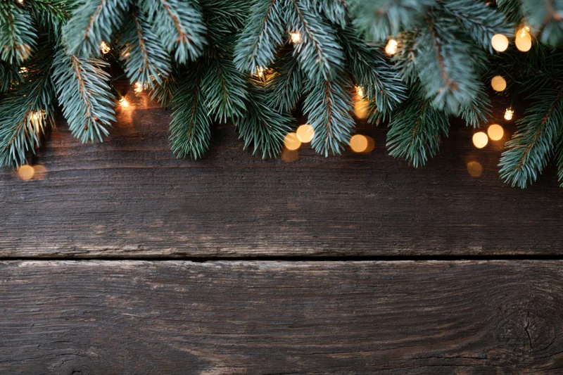Spruce and fir branches with warm string lights arranged along the top edge of a dark wooden surface