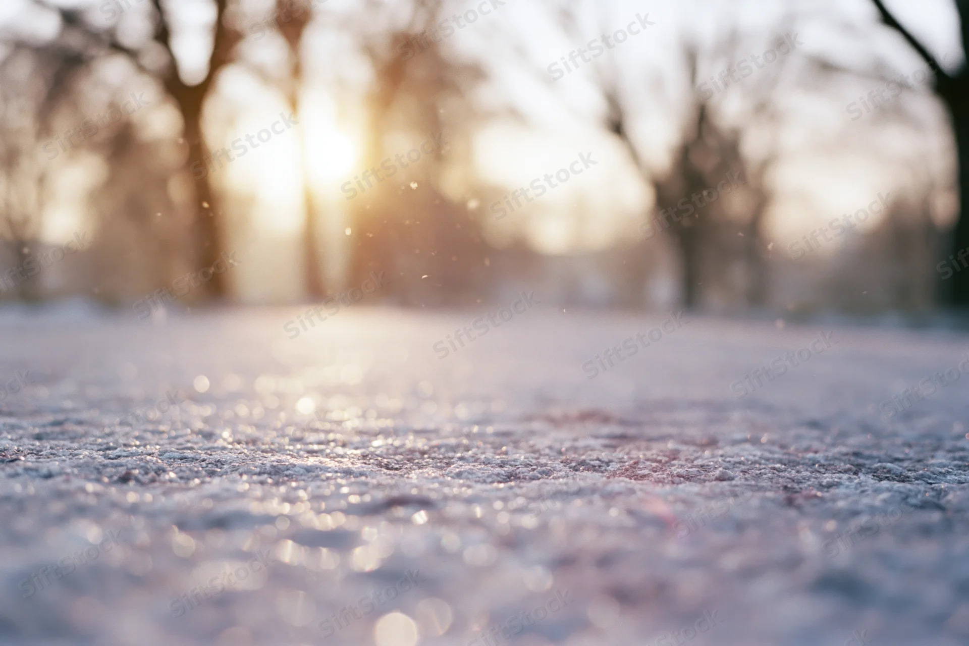 Frost-covered ground at sunrise with sunlit trees in soft focus background