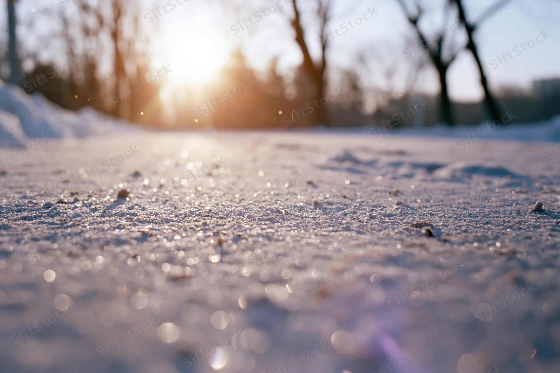Frost-covered ground glistening in low morning sun with blurred trees in background