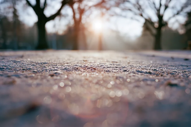 Frost-covered ground in winter morning light with trees in background