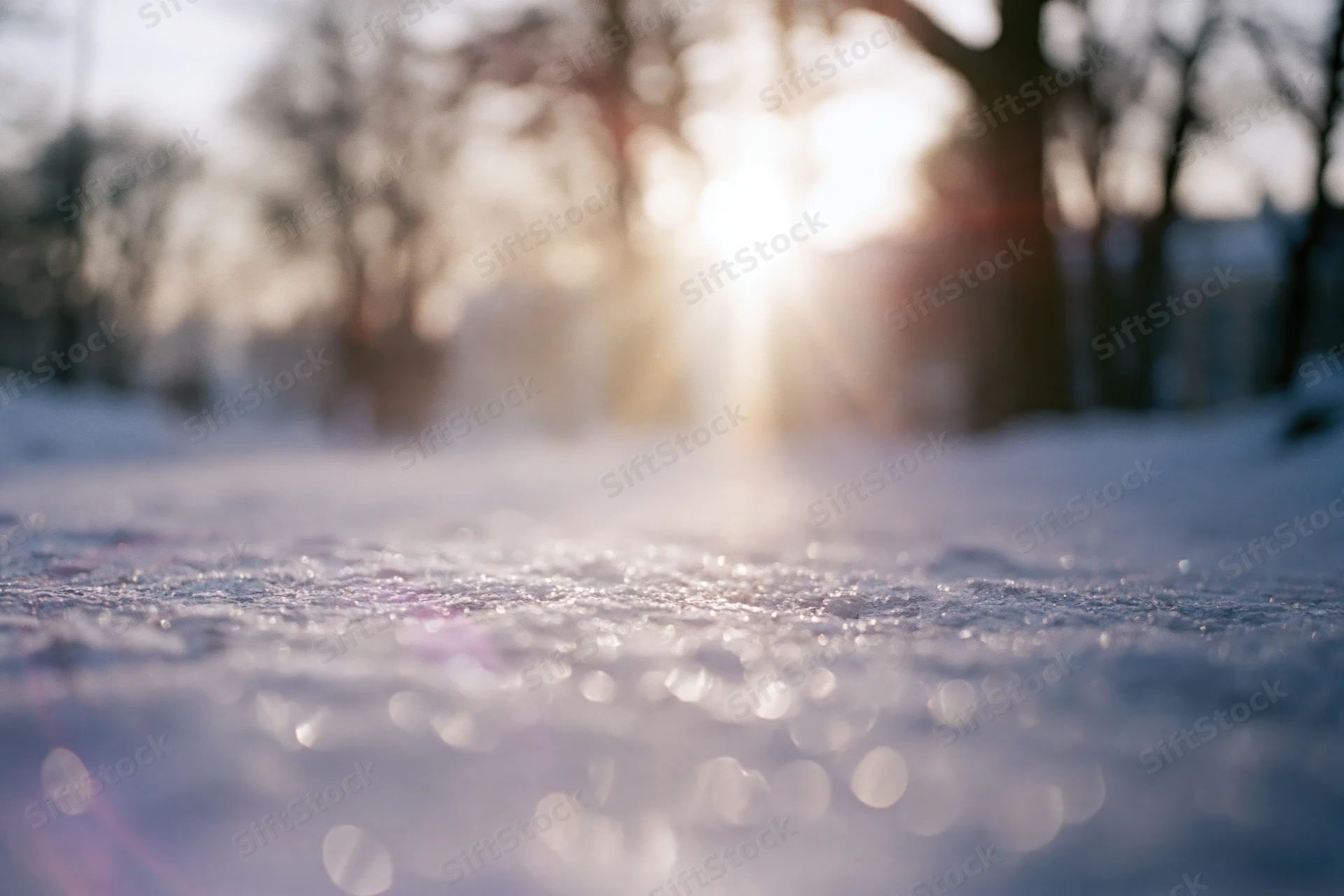 Frost-covered ground glistening in low-angle sunlight with blurred trees in background