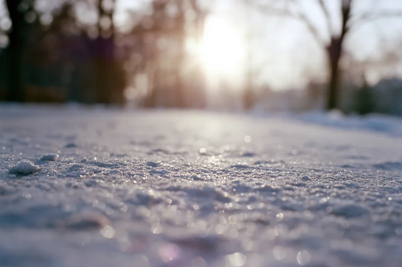 Frost-covered ground in low-angle view with sunlight reflecting off icy surface in winter forest