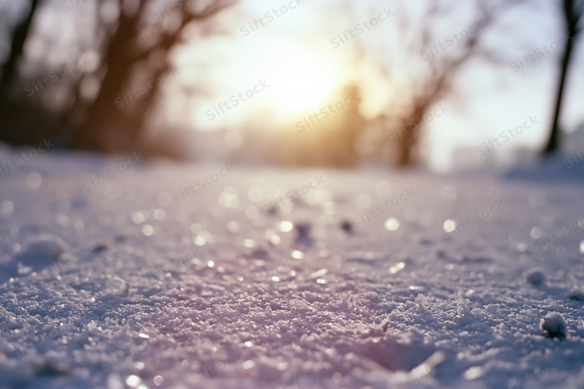 Frost-covered ground at sunrise with blurred trees and bokeh light in background
