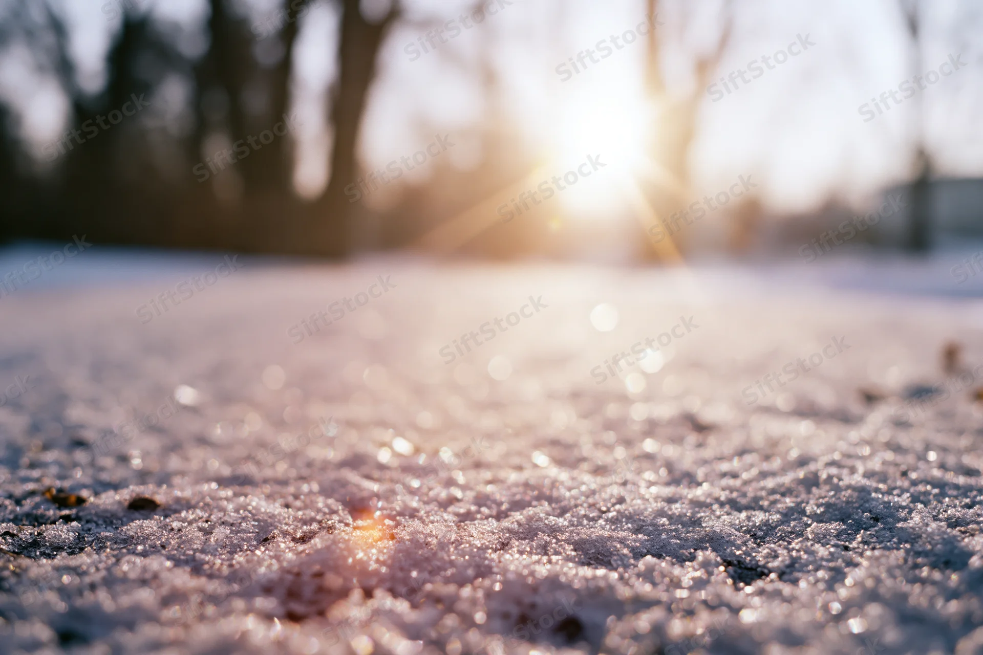 Frost-covered ground in low-angle closeup with sunlight sparkling on ice crystals during winter morning
