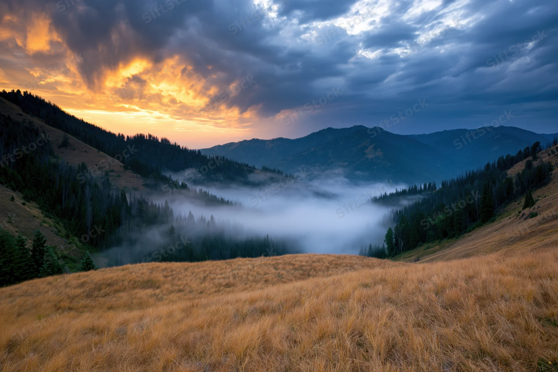 Mountain valley at sunrise with fog drifting through forested hills and golden grass meadow
