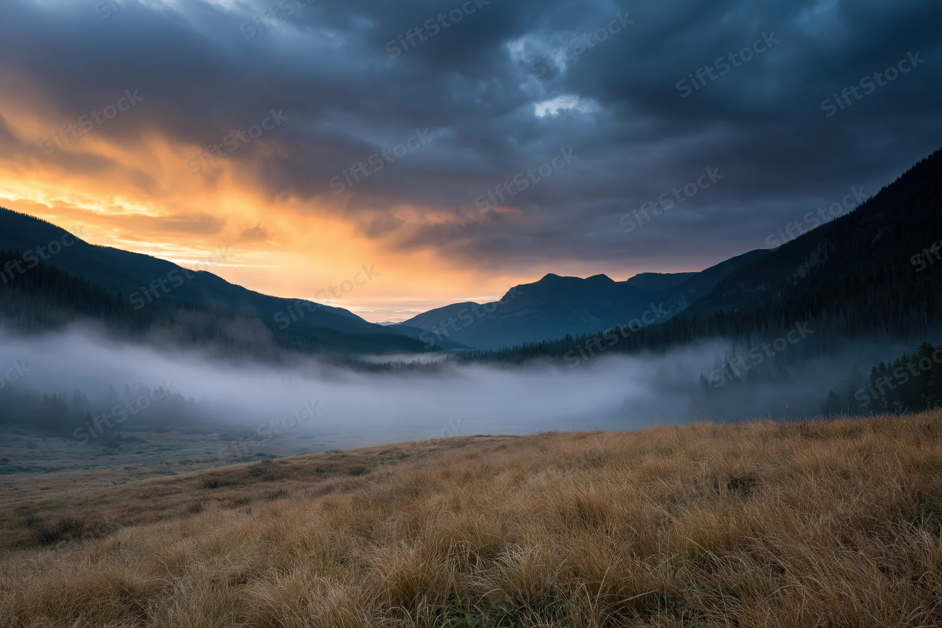 Mountain valley at sunrise with fog drifting through forested slopes and golden grass in foreground