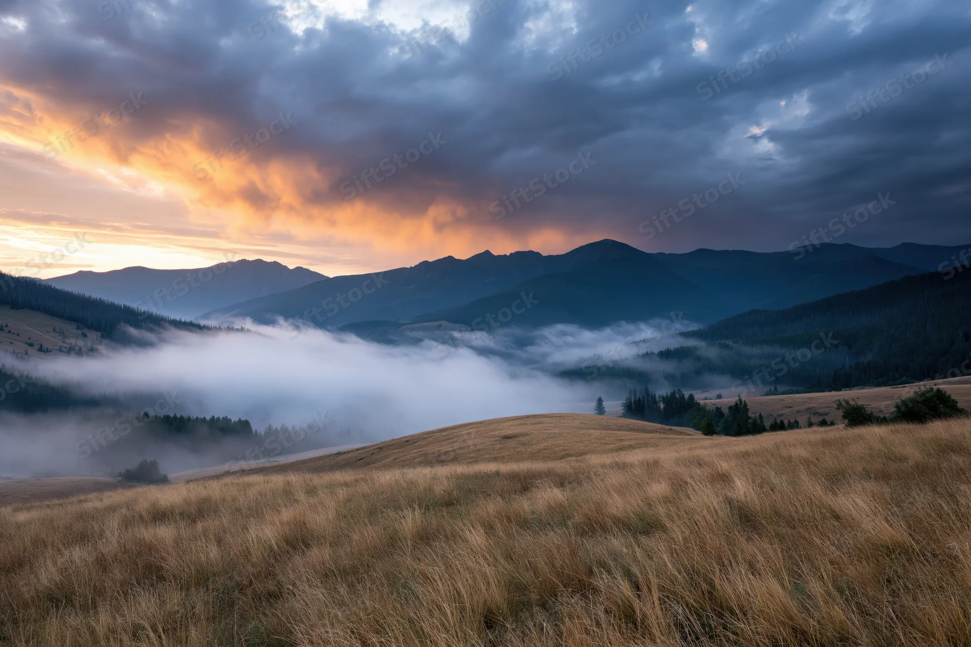 Mountain range at sunrise with fog drifting through valley and golden grassy meadow in foreground