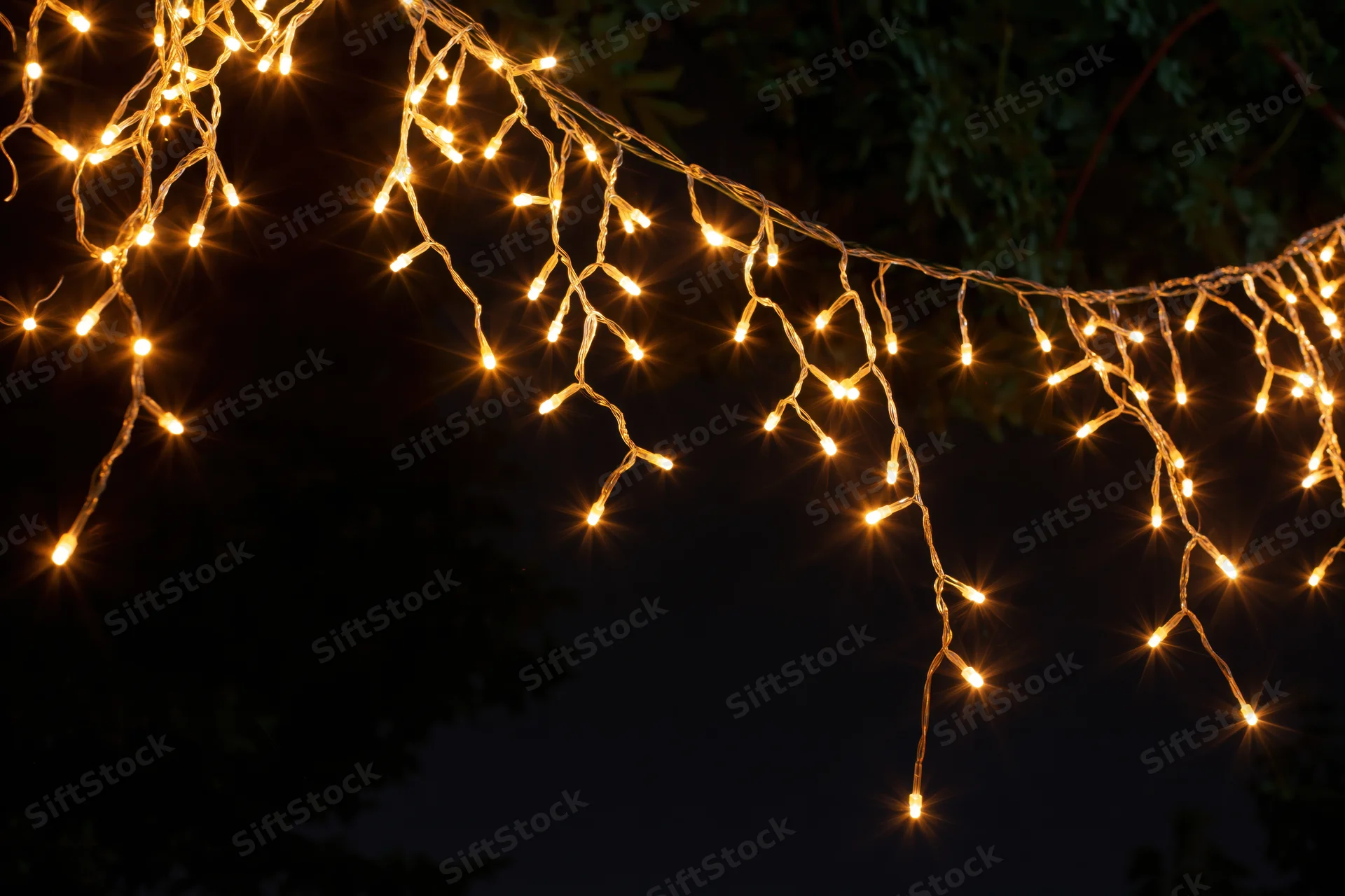 Multiple strands of warm white fairy lights draped loosely across dark foliage at night