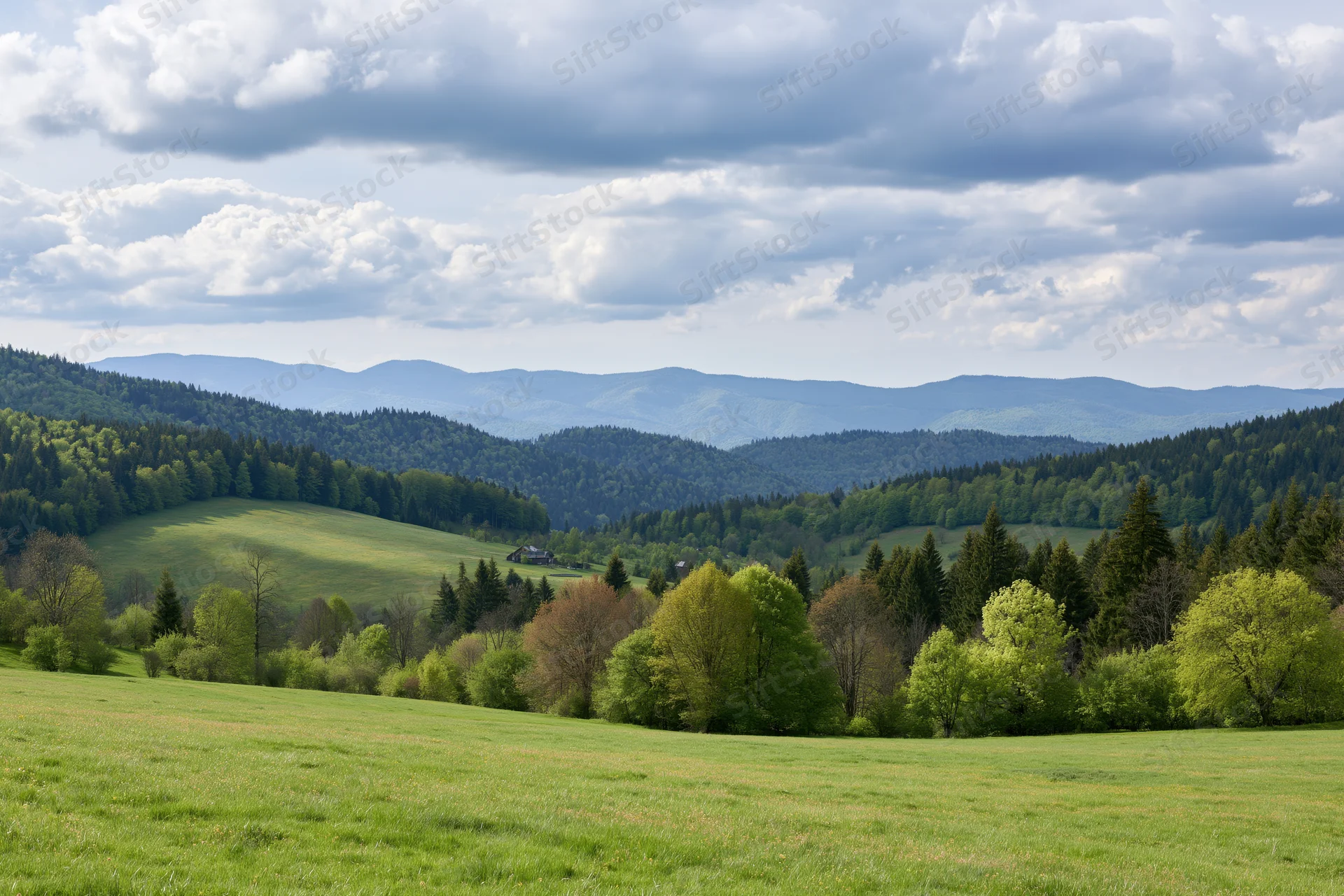 Open grassy meadow rolling toward forested hills in spring under cloudy sky