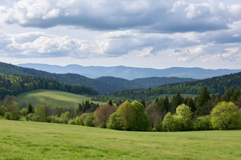 Open grassy meadow rolling toward forested hills in spring under cloudy sky