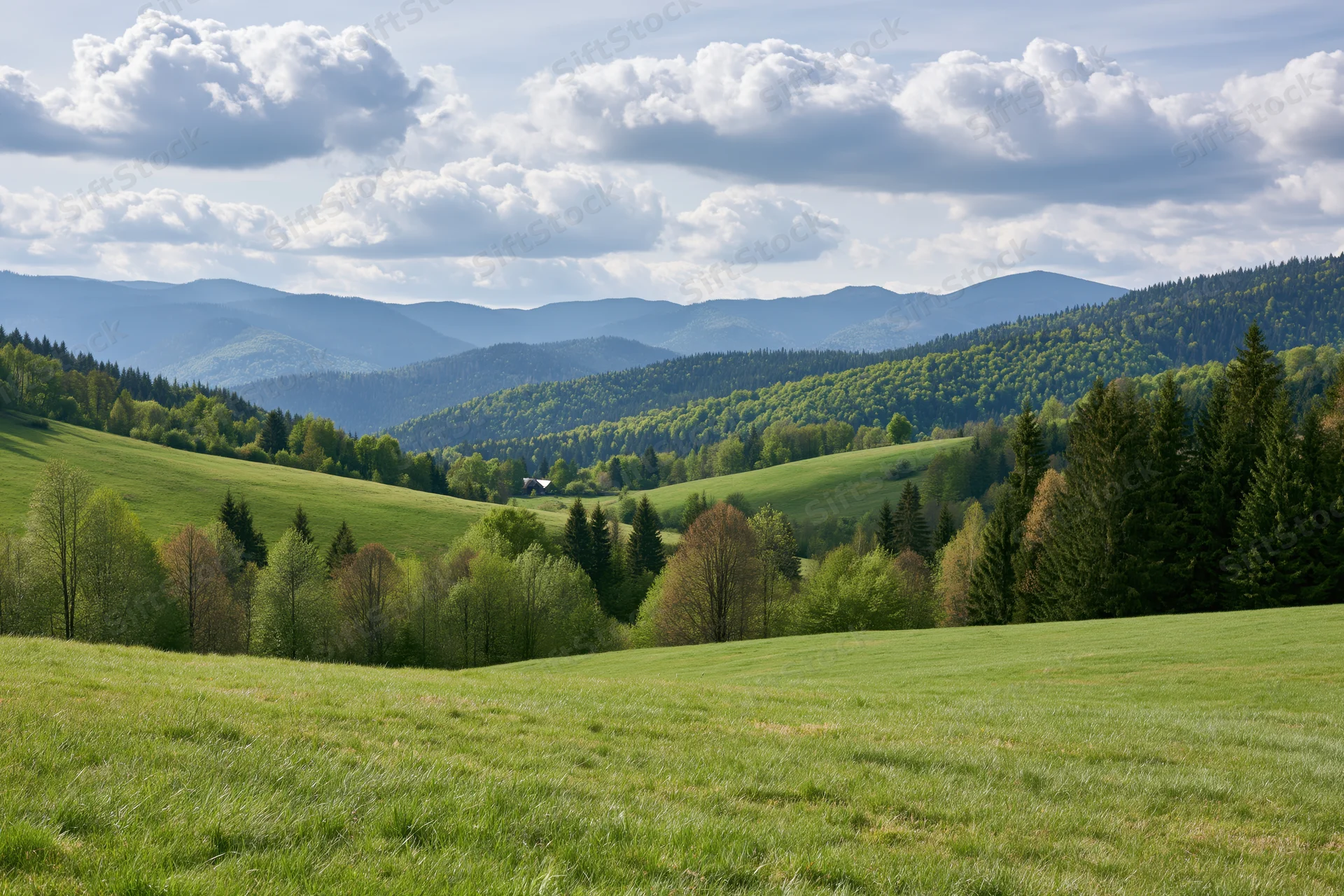 Open grassy meadow in spring rolling toward forested hills in the Carpathian countryside