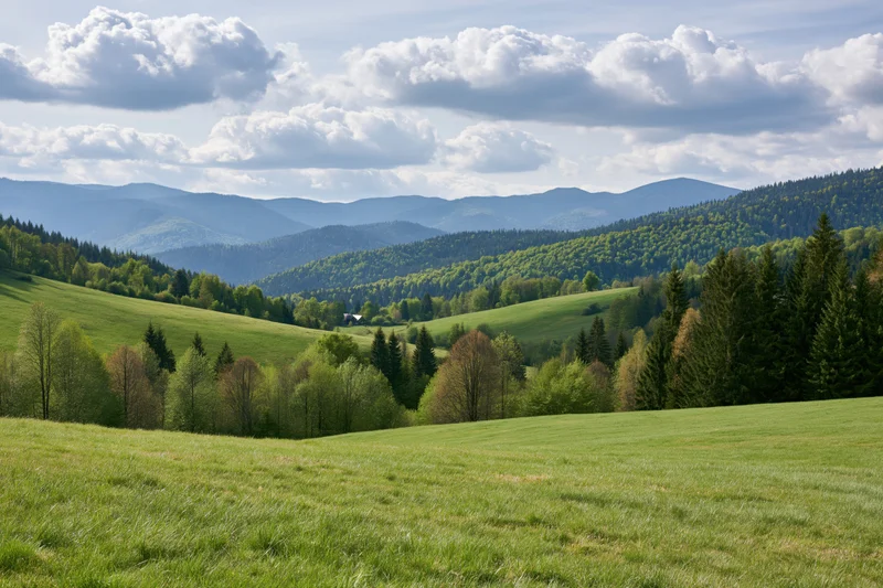 Open grassy meadow in spring rolling toward forested hills in the Carpathian countryside