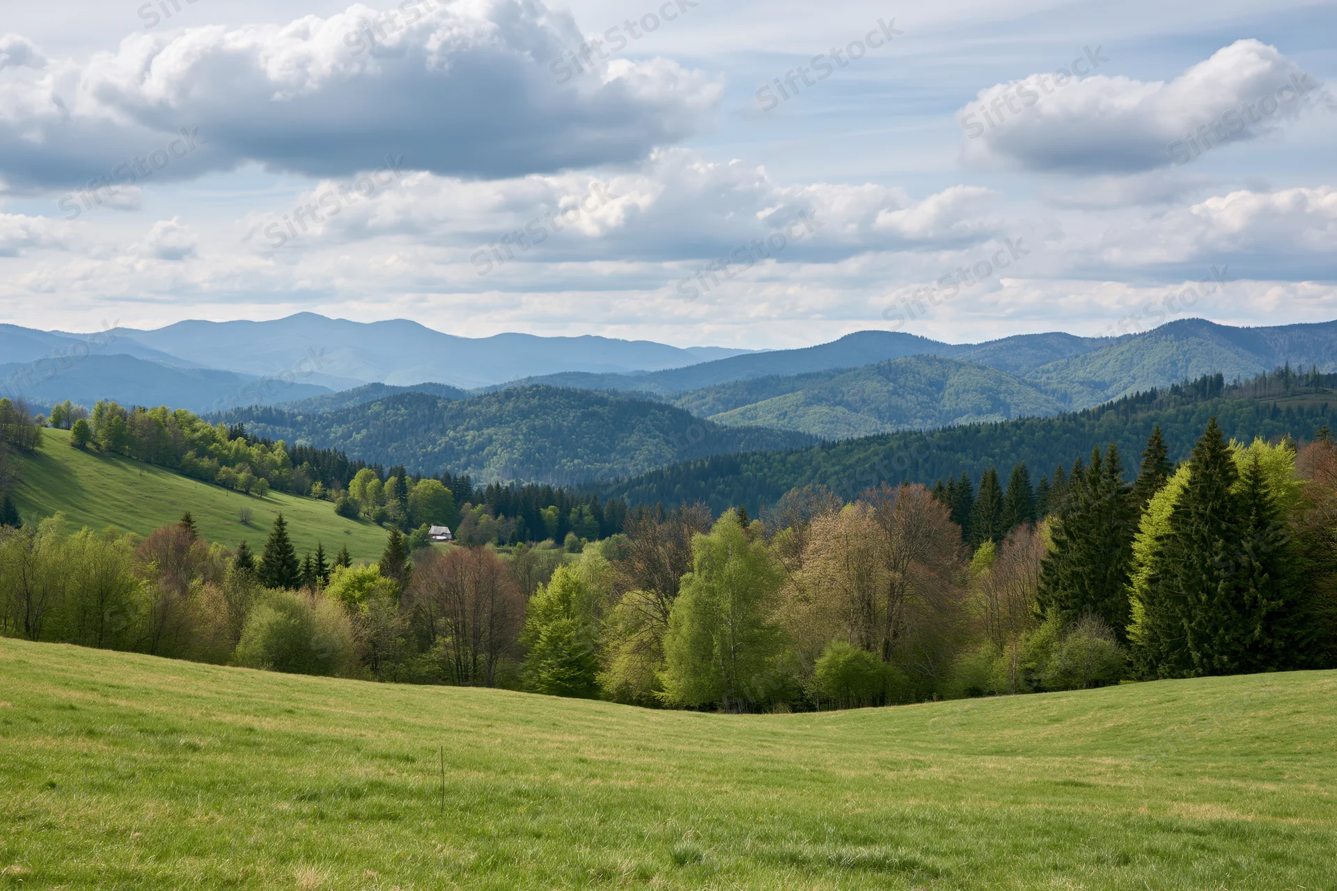Open grassy meadow rolling toward forested hills in spring under cloudy sky