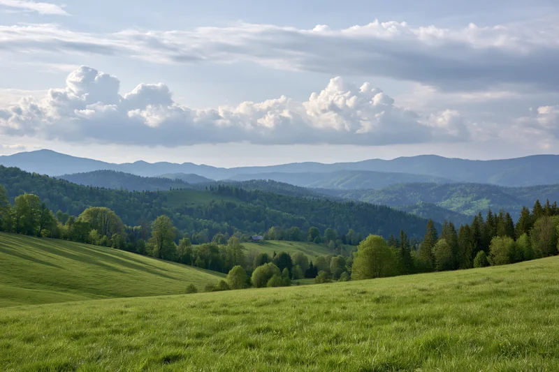 Open grassy meadow rolling toward forested hills in spring under cloudy sky