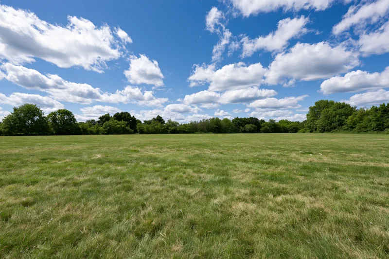 Open grassy meadow stretching to a treeline of mixed deciduous trees under a blue sky with scattered white clouds