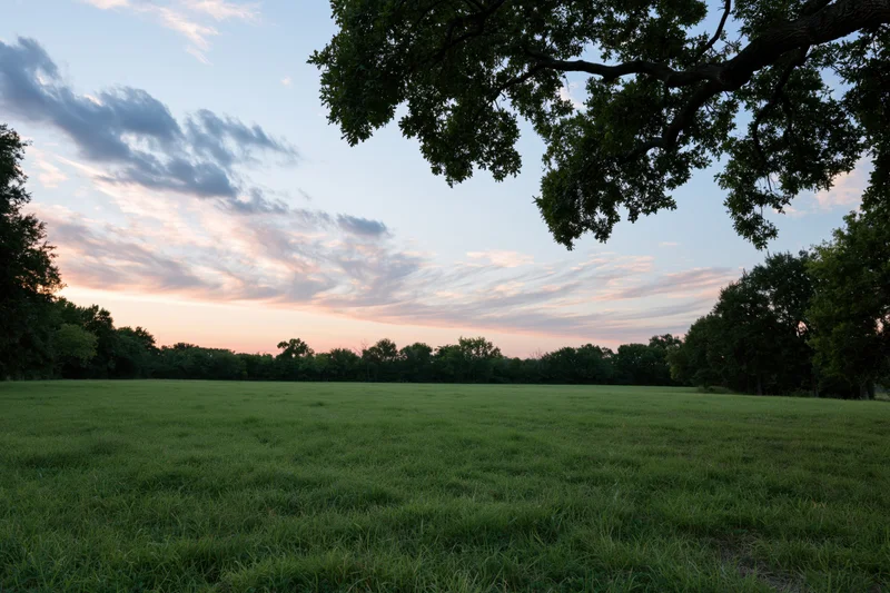 Open green meadow toward a treeline at dusk framed by branches