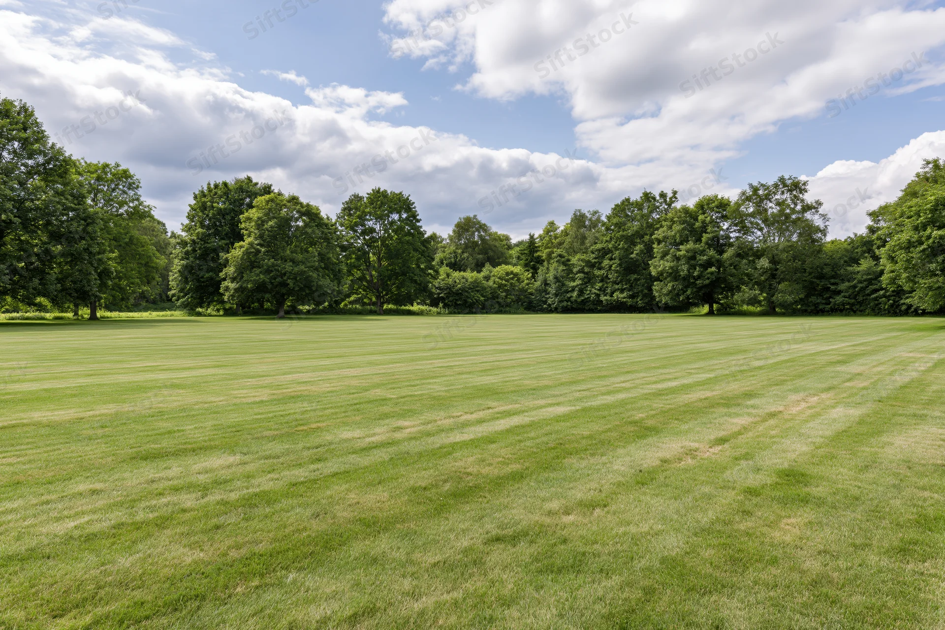 Wide mowed grass lawn stretching toward a line of trees in a public park under a partly cloudy sky