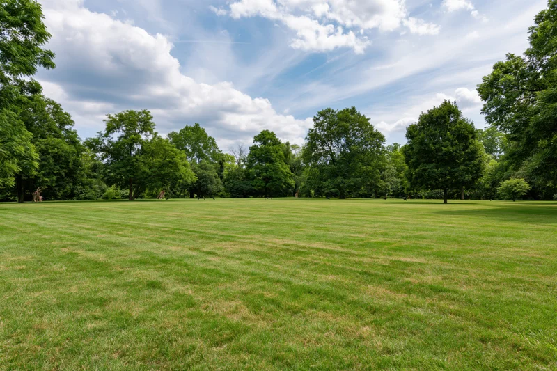 Wide mowed grass lawn stretching toward a line of trees in an open public park under a partly cloudy blue sky